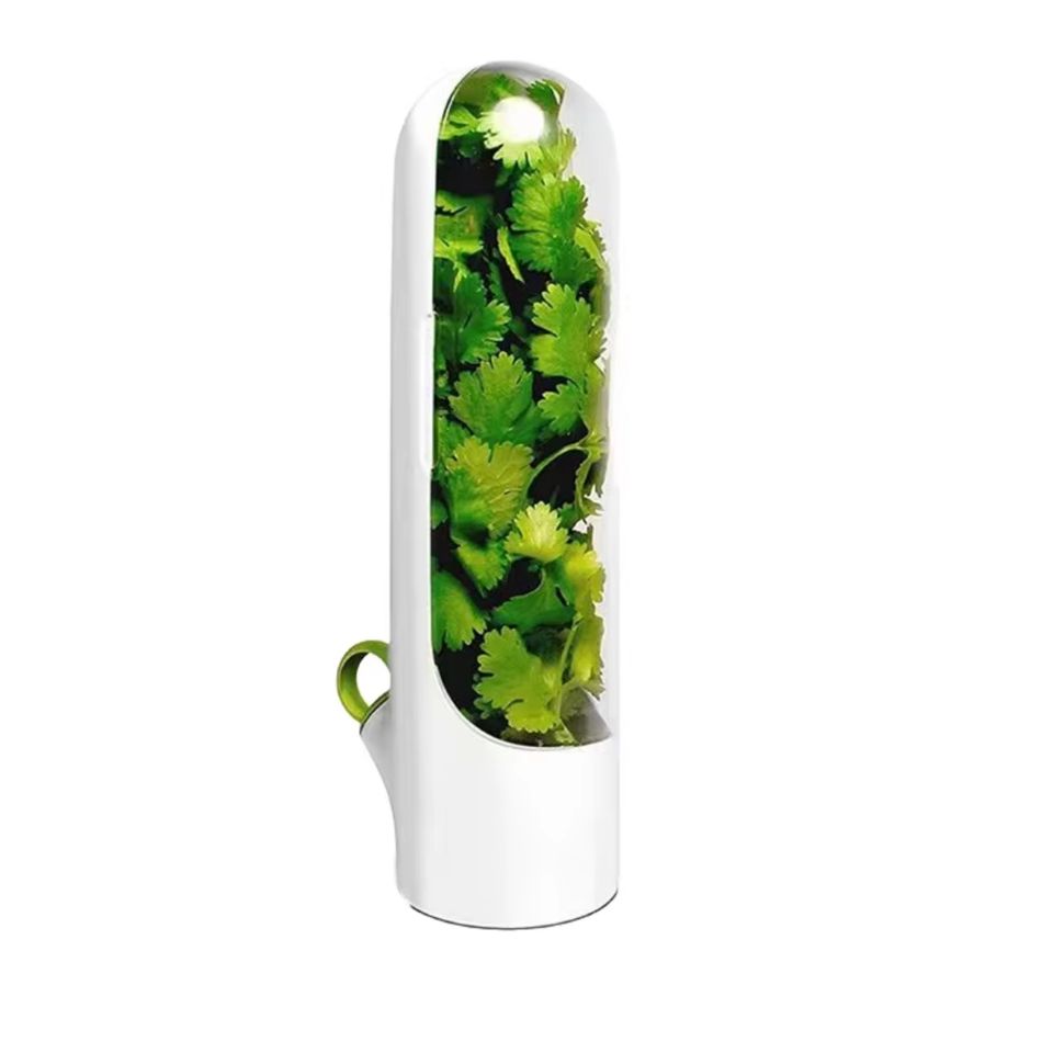 Family-Friendly Plastic Herb Storage Container for Kitchen Refrigerator