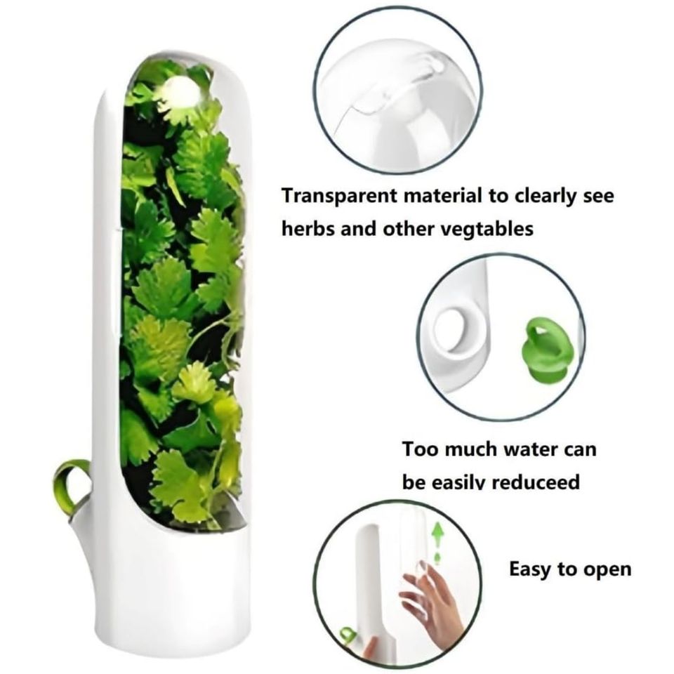 Family-Friendly Plastic Herb Storage Container for Kitchen Refrigerator