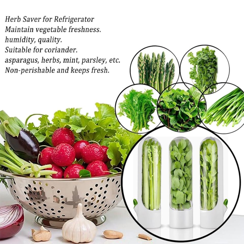 Family-Friendly Plastic Herb Storage Container for Kitchen Refrigerator