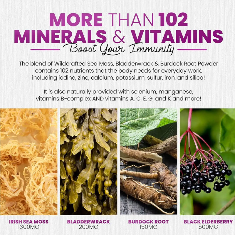 OEM Vegan Sea Moss Black Seed Oil Gummies with Herbal Extracts