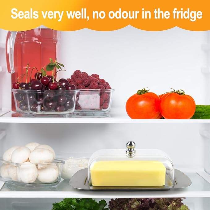 Stainless Steel Butter Box with Lid and Handle for Cheese, Cake, and Dessert Storage