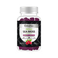OEM Vegan Sea Moss Black Seed Oil Gummies with Herbal Extracts