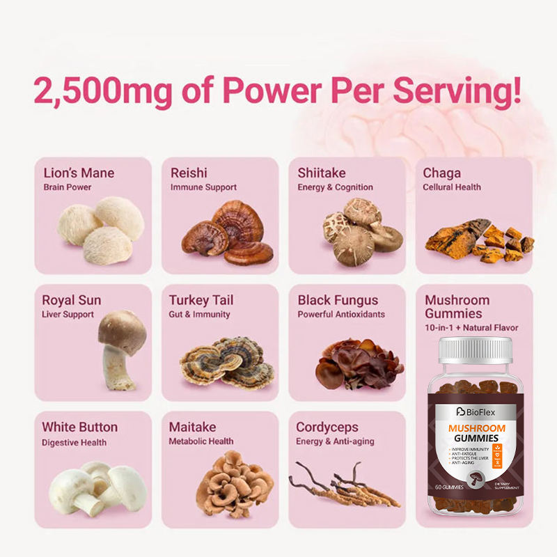 OEM Private Label 2500mg Bio Vegan Lion's Mane Reishi and Chaga 10 in 1 Super Mushroom Complex Extract Gummies Supplement
