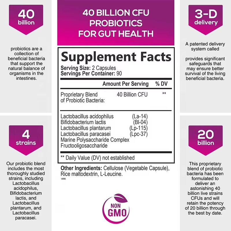 OEM Private Label 40 Billion CFU Probiotic Digestive Supplement Capsules for Adult Gut Health