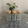 Glass Spice Jars with Bamboo Lids Set of 12/24 Pieces