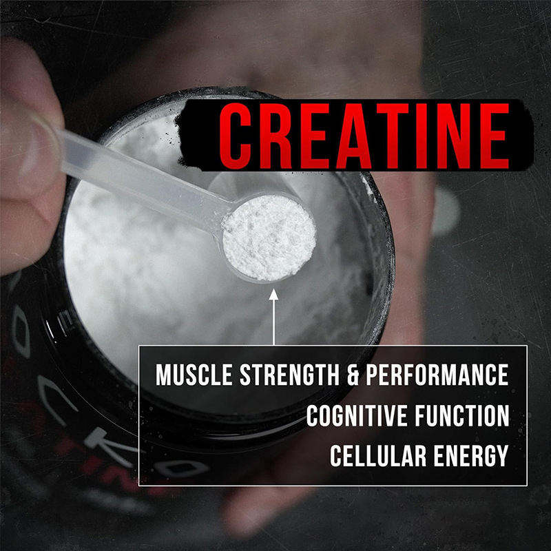Private Label Pre-Workout Creatine Monohydrate Powder Bulk for Adults